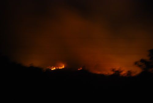 Faszinierend und traurig zugleich...ein Buschfeuer in Australien