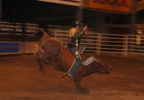 Ist schon was anderes als Bullriding aufn Volksfest