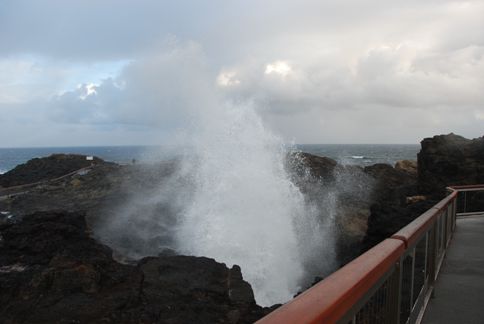 Blowholes.....