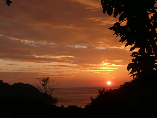 Abendessen bei Ronnys Place in Quepos..
