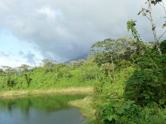 rund um den See oder zumindest fast..