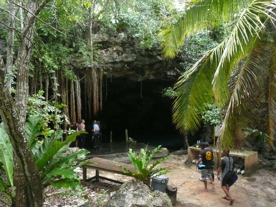 Der Eingang von unserer Cenote beim Tauchen