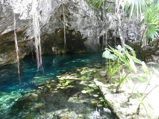 die Gran Cenote in der Naehe von Tulum.. einmalig schoen 