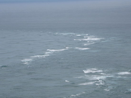 hier fliessen der Tasmanische und Pazifische Ozean zusammen