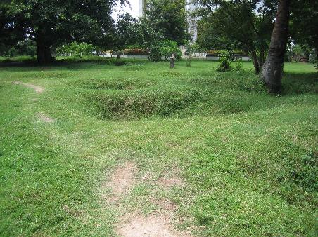 Die Killing Fields