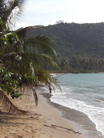 Blick nach links vom Lomprayah-Steg