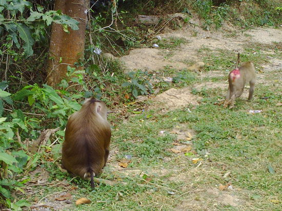 Doch Vorsicht hinter jeder Kurve sitzen unsere Vorfahren