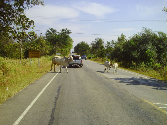 Pickup mit Rainer, ein Leobier und Bike