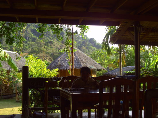 Blick aus Roberts Restaurant (Jungel View) in den Uhrwald