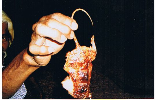 So das sind aus dem Maisfeld gefangene Raten. Diese schmecken meiner Meinung nach, wie eine Kreuzung zwischen Huhn und Schwein.