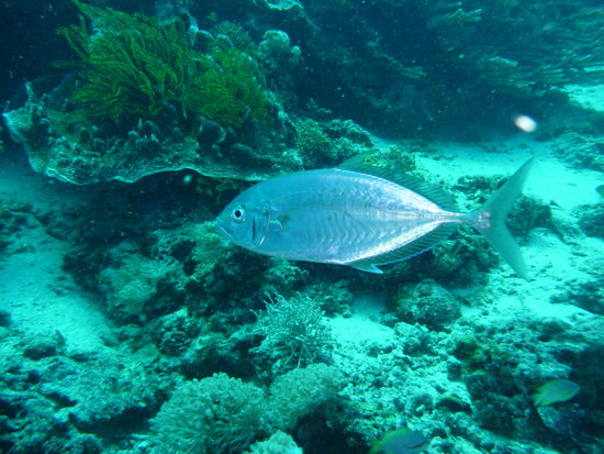 Was guckst Du mich denn so schief von der Seite an?