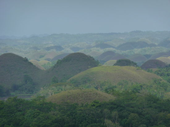 Chocolate Hills