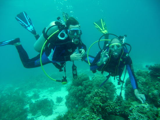 Weihnachtsgruß unter Wasser