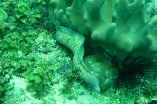 Ihr erwischt mich nicht!