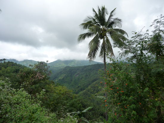 Wir nähern uns dem Bergregenwald und der Wolkendecke