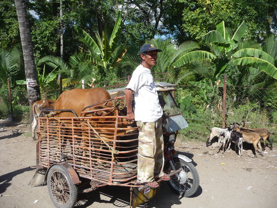 Er weiß wohl ein Plätzchen für das gute Stück