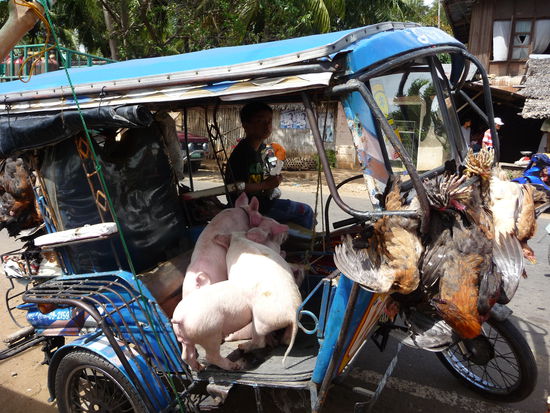 ...und andere wiederum das Tricycle