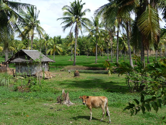 So sieht's hier aus!