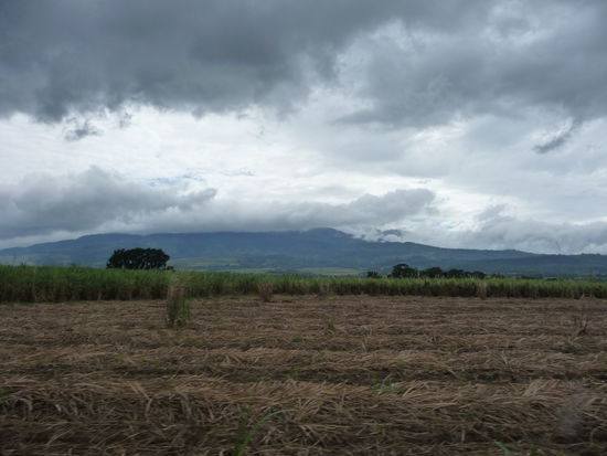 Auf dem Weg nach San Carlos - Blick auf den in den Wolken verschwundenen Mount Kanlaon