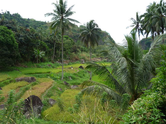 Schöne Landschaft auf der Strecke