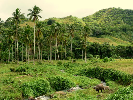 Bild des Tages - das Paradies holt uns wieder ein