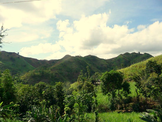 Die vielen Grüntöne begeistern uns