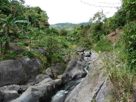 Gebirgsbach am Fuß des Kanlaon