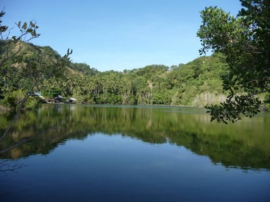 Die Lagune ist der Wasserspeicher für Dusche und Toilette. Und nebenbei sieht sie mit dem Mangrovenbewuchs auch noch klasse aus