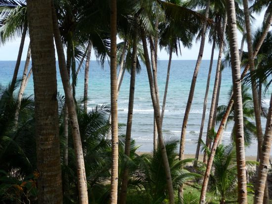 Blick von der Küstenstraße