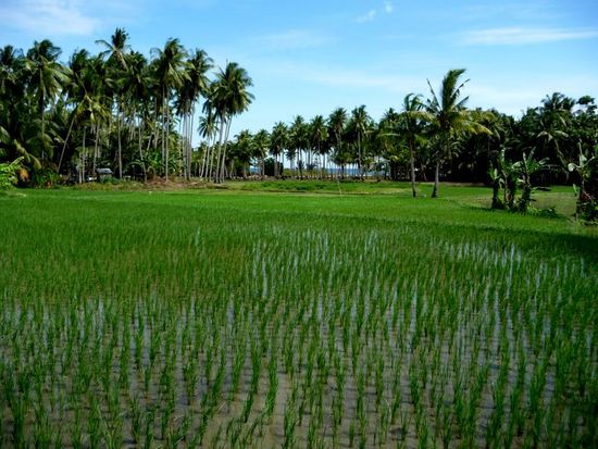 ...vielleicht ist das ja der Grund dafür, daß wir...