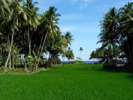 ...von den Reisefeldern einfach nicht genug bekommen können ?