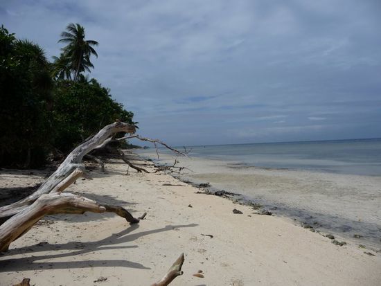 So sieht's hier bei Ebbe aus