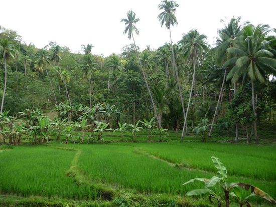 Was könnte das nur sein?