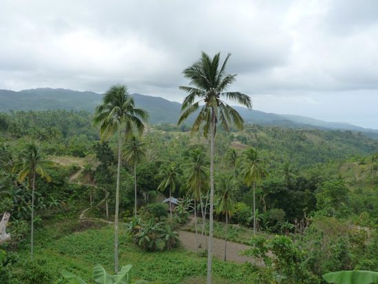 Unser Sträßchen führt uns in die Berge
