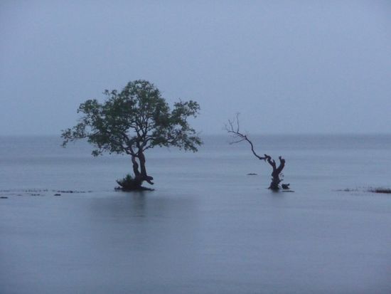 Blick von unserem Bungalow auf das Wasser - die Haelfte des Meeres ist mit Regenwasser gefuellt 