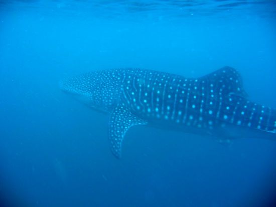 Und eins von der Seite