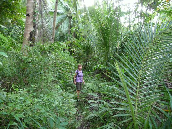 Der zunaechst einfache Weg wird immer dichter und schlammiger