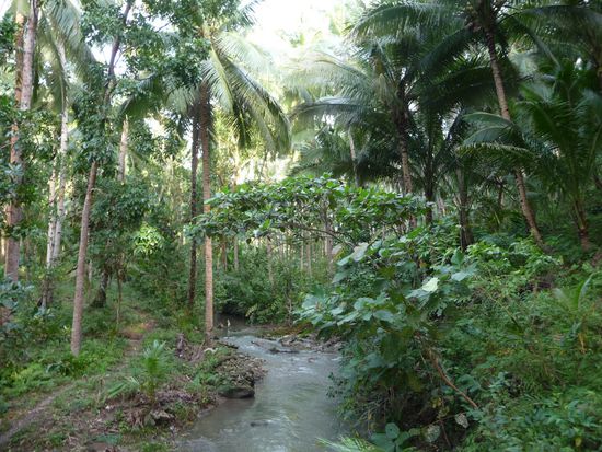 Spaeter bekommen wir zum Glueck Unterstuetzung von drei Jungs. Der Weg wird immer schmaler.