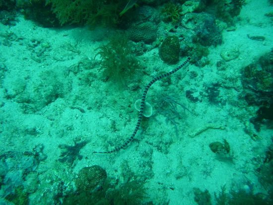 Na also. Da ist das Foto