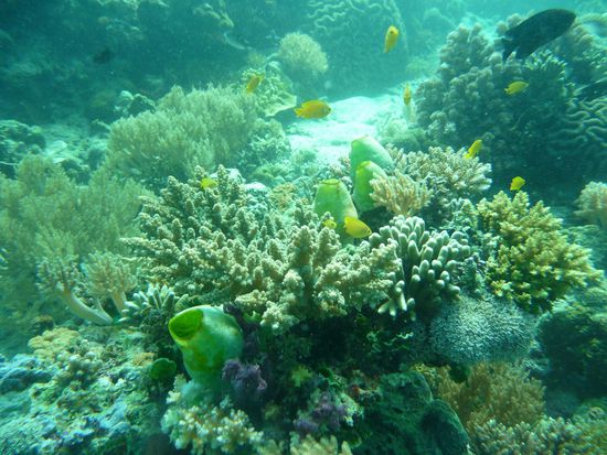 "Landschaftsfotografie"