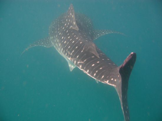 Juergen bleibt noch etwas laenger dran