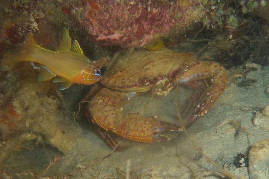 Gemütliches Miteinander