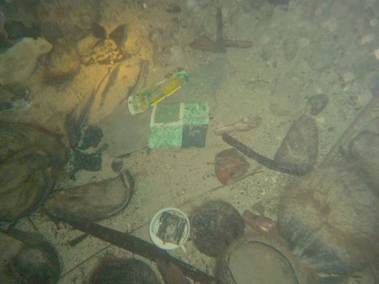 Beim Austauchen stellt sich tatsächlich die Frage, warum gerade hier so viele seltene Fische zu sehen sind