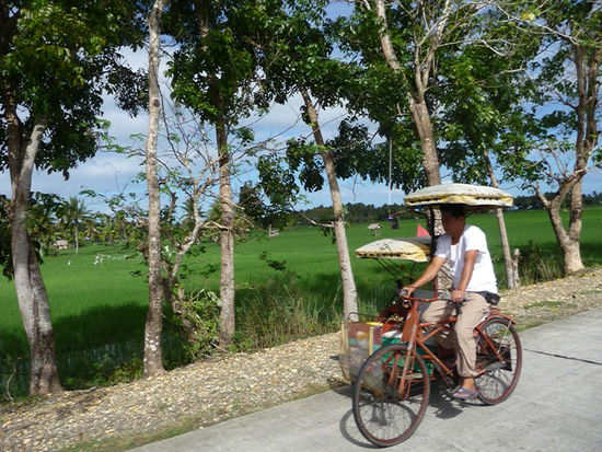 Und wieder fahren wir durch schöne Landschaften mit ganz viel Reis...und die Tricycles haben hier sogar Sonnen- bzw. Regendächer