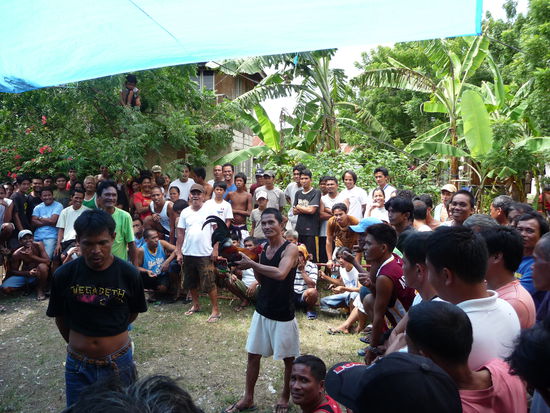 Der 'große weiße Mann' erregt Aufmerksamkeit beim Hahnenkampf