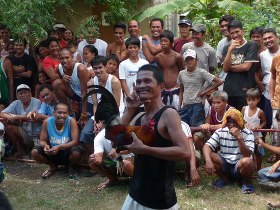 Der 'Hahnenvater' posiert vor der Kamera und will Lui unbedingt davon überzeugen, auf seinen Hahn zu wetten. Eine kleine 'Diskussion' führt zu großem Gelächter der gesamten Zuschauer