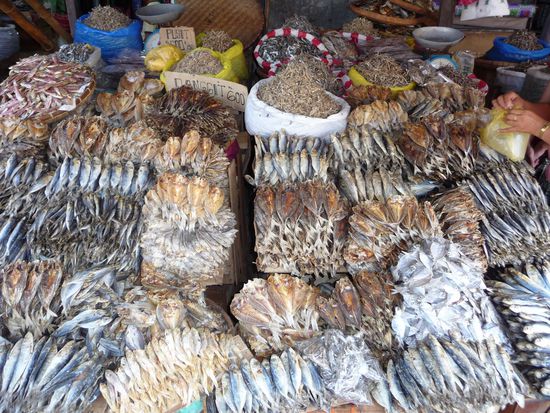 Hier wird getrockneter Fisch in großer Auswahl angeboten. Zwischenzeitlich haben auch wir ihn probiert, und zwar in Form eines Squid am Spieß und gegrillt. Das war richtig lecker!