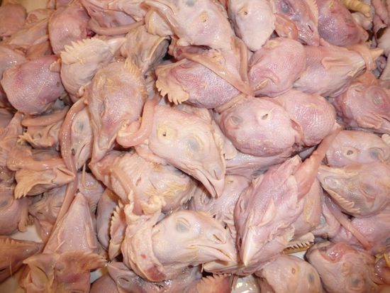 Diese Hühnerköpfe werden gerne gegrillt gegessen. Wir haben sie ja auch schon probiert...