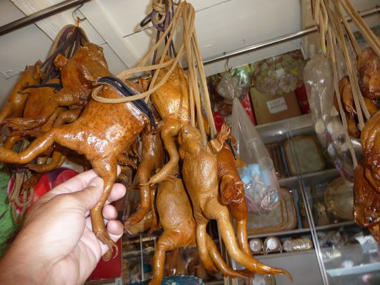 Wohin mit den Kröten?