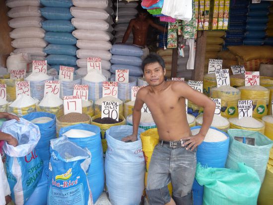 Es ist unglaublich, wie viele unterschiedliche Reissorten es gibt